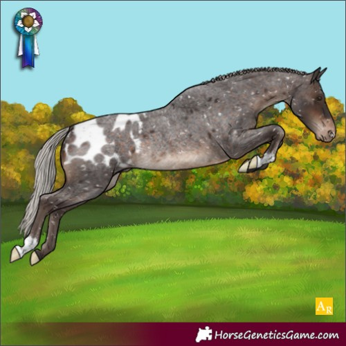 Horse Color:Silver Brown Roan Appaloosa Rabicano 