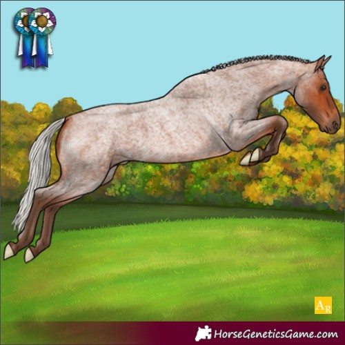 Horse Color:Silver Bay Roan 