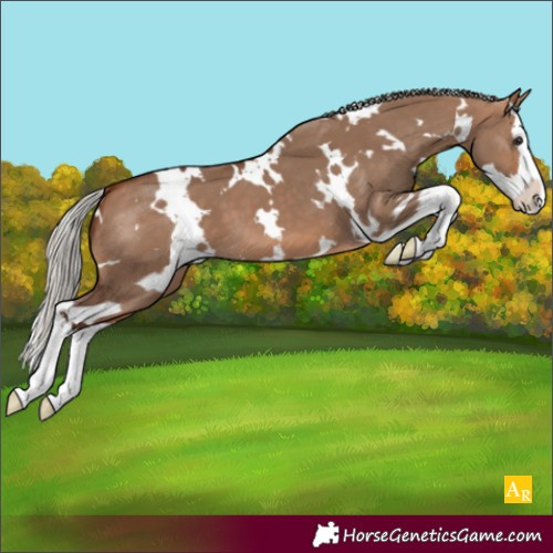 Horse Color:White Spotted Silver Bay Dun Splash 