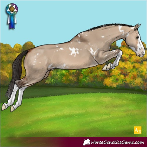 Horse Color:White Spotted Bay Dun Splash