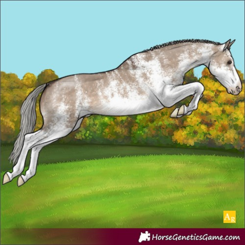 Horse Color:White Spotted Silver Brown Dun