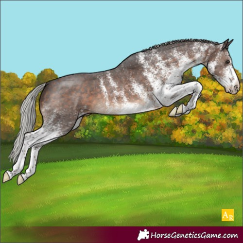 Horse Color:White Spotted Silver Brown