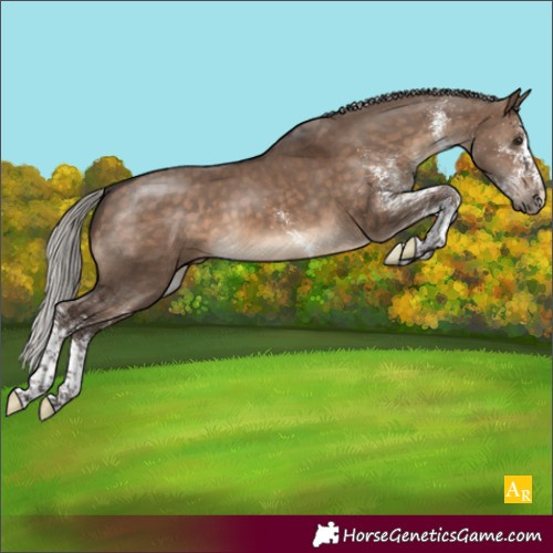 Horse Color:White Spotted Silver Brown Dun