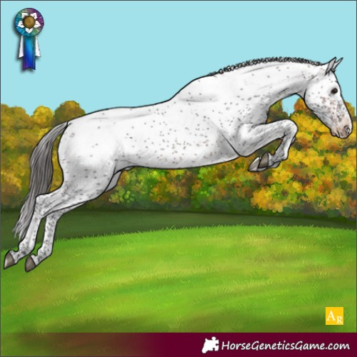 Horse Color:Bay Sabino Appaloosa Rabicano 