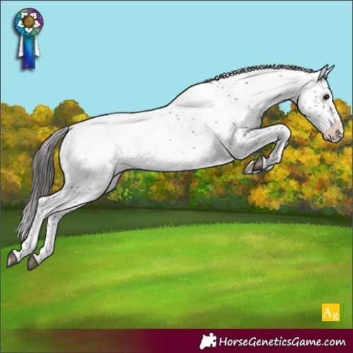 Horse Color:Brown Sabino Appaloosa Rabicano 