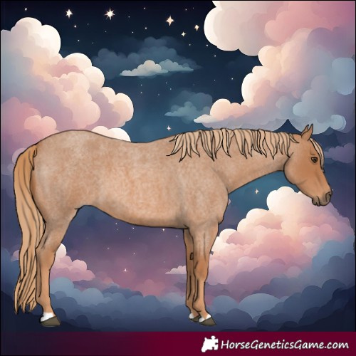 Horse Color:Red Roan