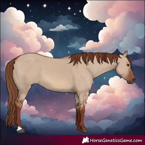 Horse Color:Red Dun 