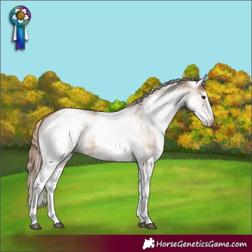 Horse Color:White Spotted Red Dun Rabicano and White Spotted Red Dun Varnish Rabicano