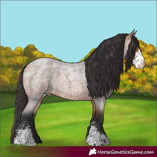 Horse Color:Bay Roan Sabino 
