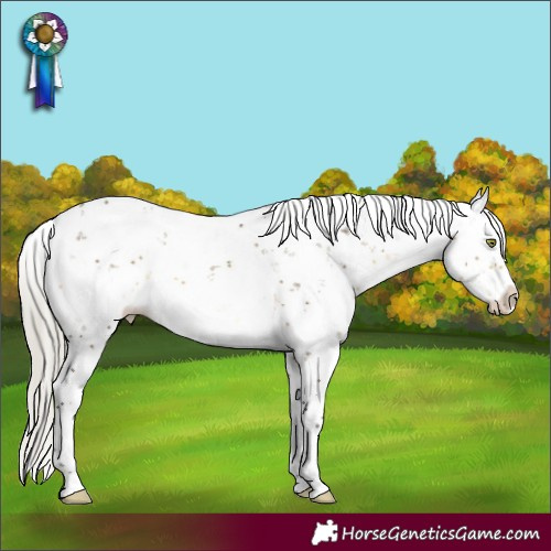 Horse Color:Silver Buckskin Dun Mushroom Sabino Splash