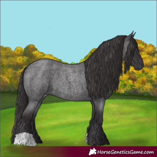 Horse Color:Smoky Blue Roan 