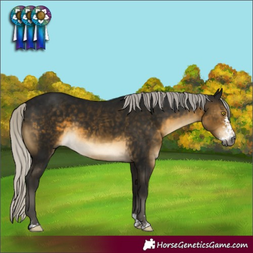 Horse Color:Gray Silver Buckskin Mushroom Sabino 