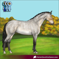 Horse Color:Gray Buckskin Roan Dun Mushroom Brindle