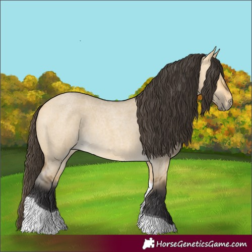 Horse Color:Buckskin Roan Dun Tobiano 