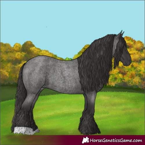 Horse Color:Smoky Blue Roan