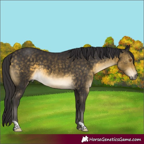 Horse Color:Buckskin Mushroom 