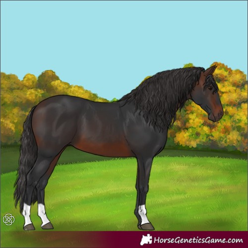 Horse Color:Brown 