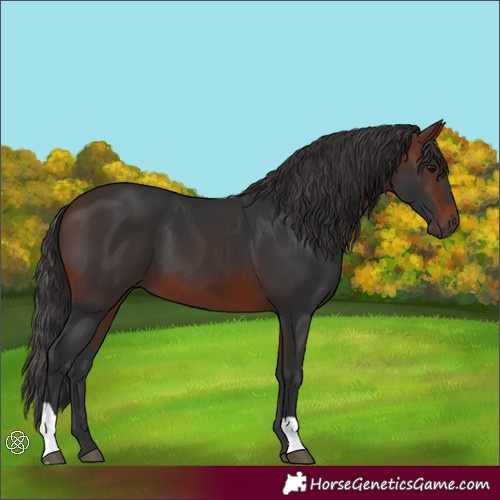 Horse Color:Brown 