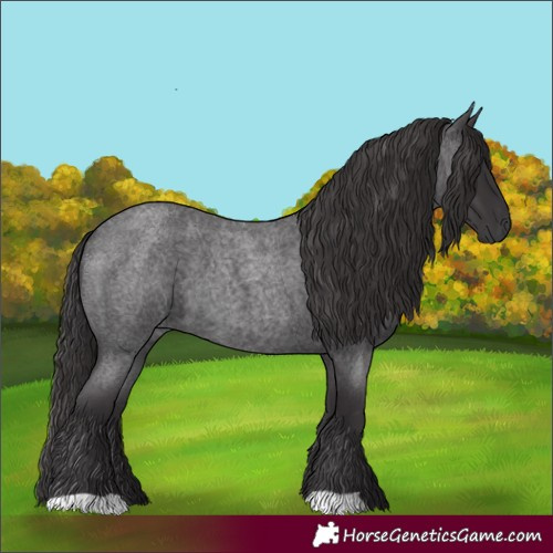Horse Color:Smoky Blue Roan 
