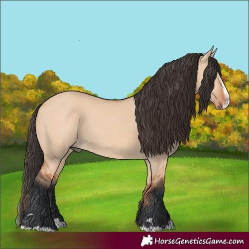 Horse Color:Bay Dun Splash