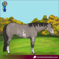 Horse Color:Smoky Grullo Sabino Rabicano