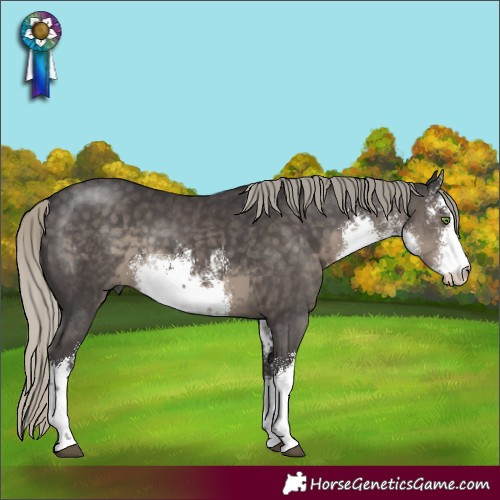 Horse Color:White Spotted Silver Smoky Black 