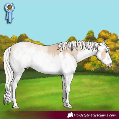 Horse Color:White Spotted Silver Smoky Creme 