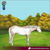 Horse Color:White Spotted Silver Smoky Black Pearl Frame 