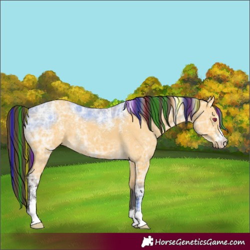 Horse Color:Powder White Painted Buckskin Ice Dun