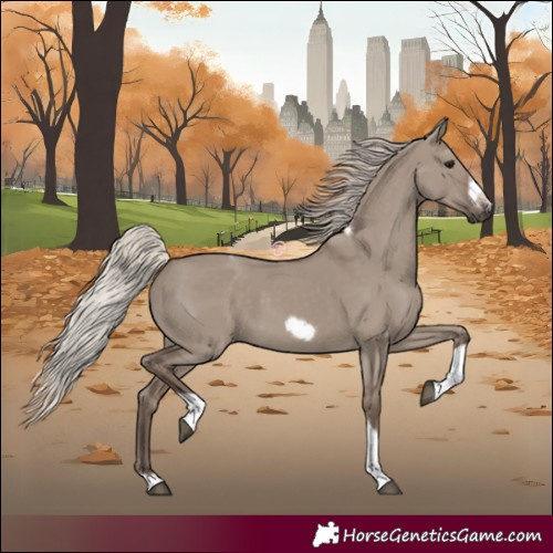 Horse Color:Silver Grullo Tobiano Frame