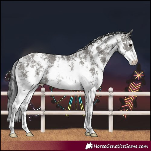 Horse Color:Grullo Sabino Rabicano 