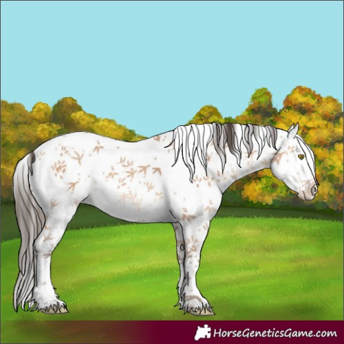 Horse Color:White Spotted Amber Champagne Rabicano 