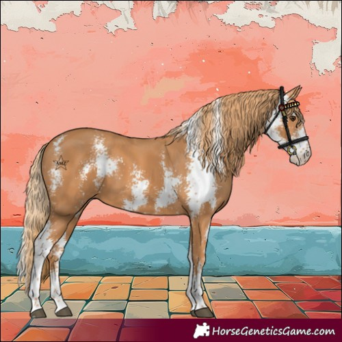 Horse Color:Chestnut Sabino 