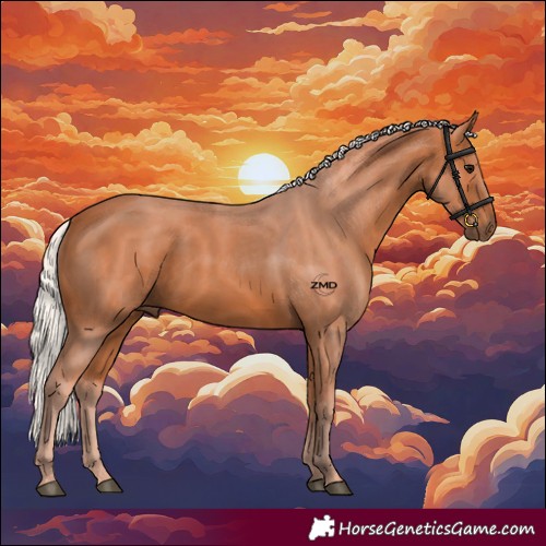 Horse Color:Silver Bay 