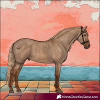 Horse Color:Red Dun