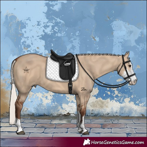 Horse Color:Silver Bay Dun Sabino