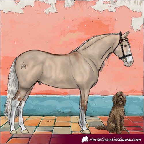 Horse Color:Silver Bay Dun Sabino