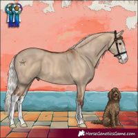 Horse Color:Silver Bay Dun Sabino 