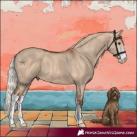 Horse Color:Silver Bay Dun Sabino