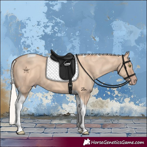 Horse Color:Silver Sable Champagne Dun Tobiano