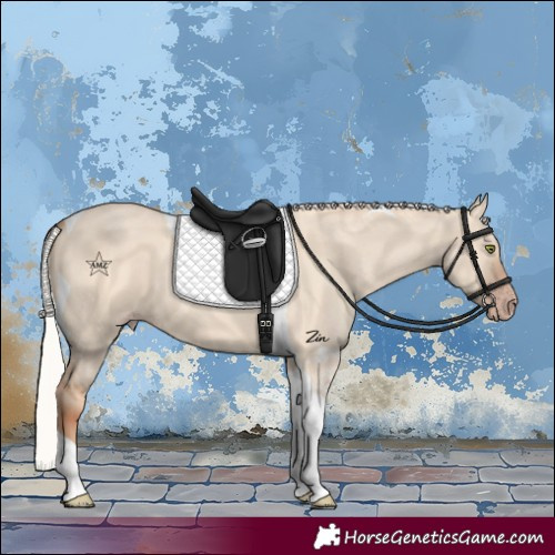 Horse Color:Silver Sable Champagne Dun Tobiano