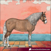 Horse Color:Silver Bay Dun Sabino
