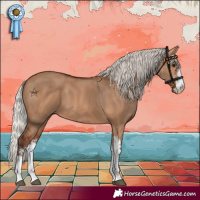 Horse Color:Silver Bay Dun Sabino 