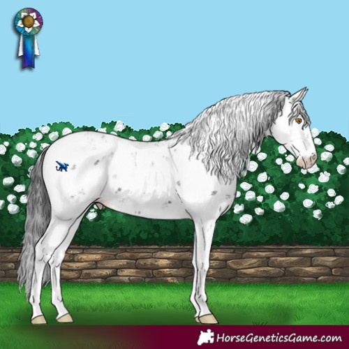 Horse Color:Black Sabino