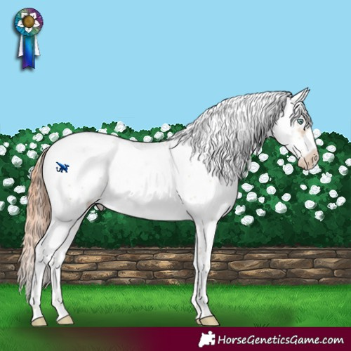 Horse Color:Sable Champagne Pearl Sabino Splash Frame