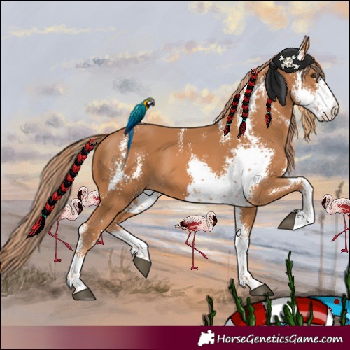 Horse Color:Chestnut Sabino