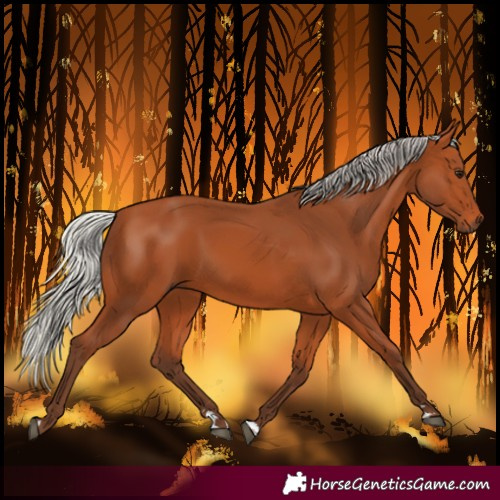 Horse Color:Silver Bay