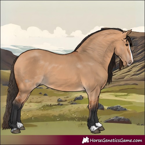 Horse Color:Bay Dun Splash 