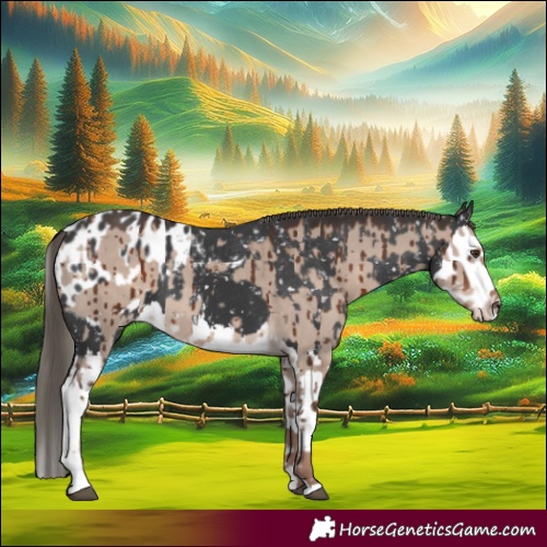 Horse Color:Liver Red Dun Mushroom Brindle  and Black Mushroom Splash Blanket 
