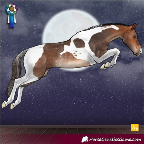Horse Color:Bay Tobiano Rabicano 